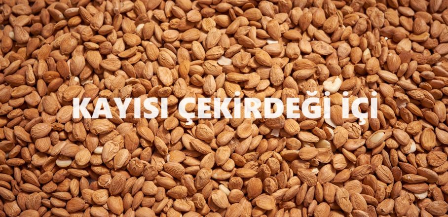 Kayısı Çekirdeği İçi
